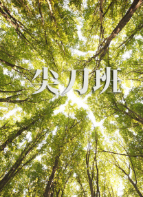 亚洲精品aa